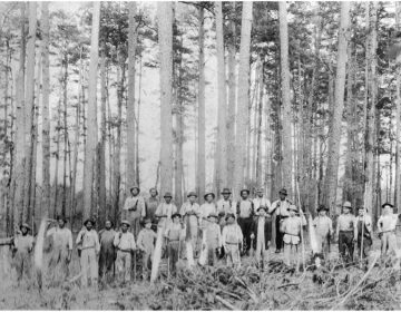 Loggers in Maxville